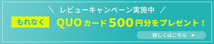 レビューキャンペーン実施中