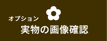 実物の確認について