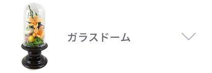 ガラスドーム