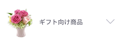 ギフト向け商品